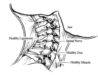 Uninjured Neck